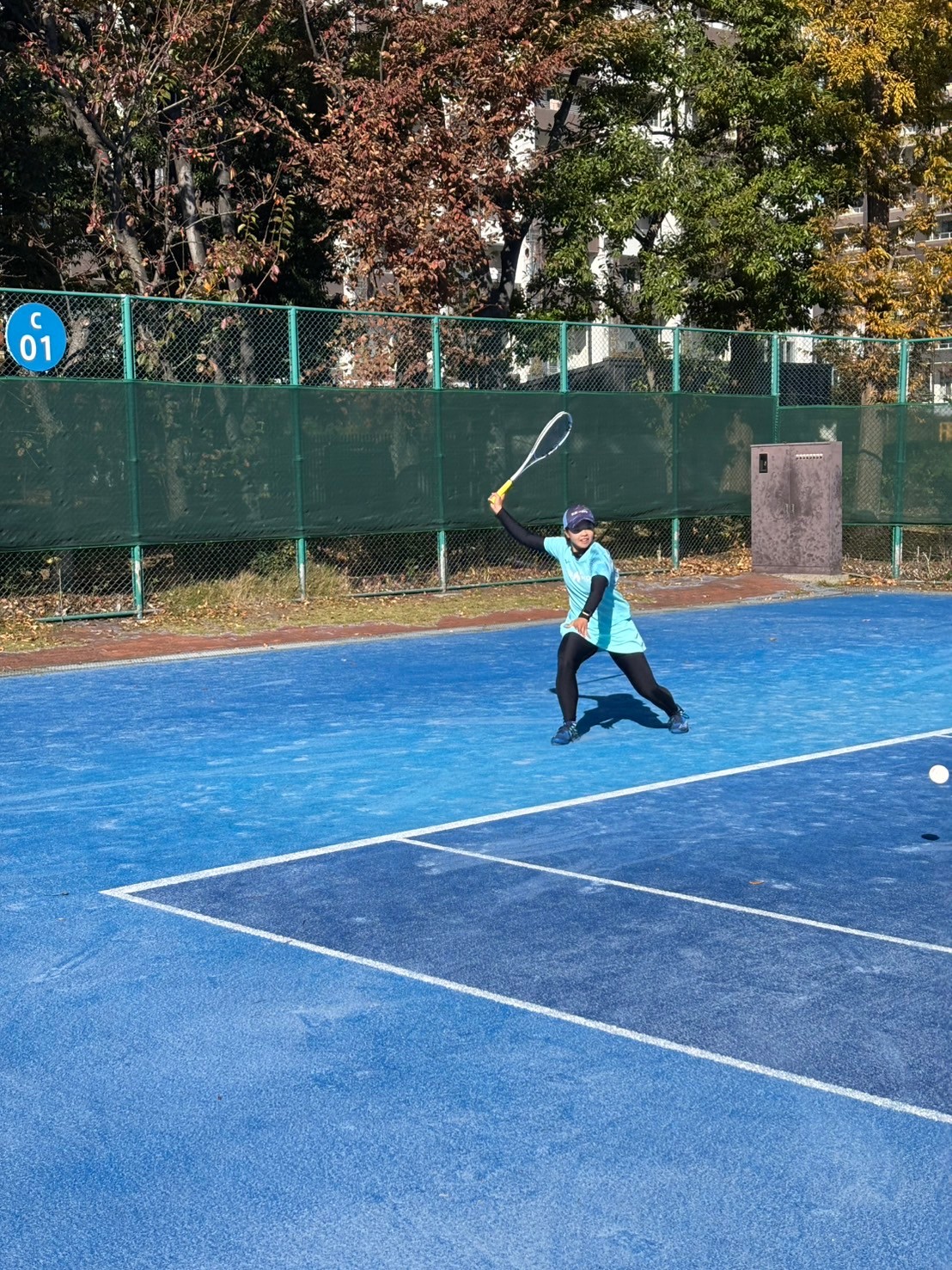 東京都シングルス選手権大会